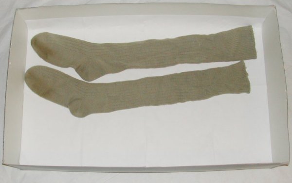 SOCKS1